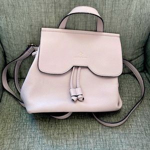Gorgeous Blush Color Backpack Bag